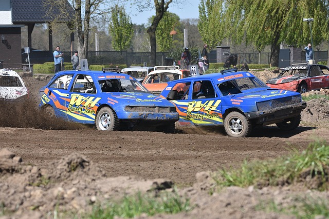 如西方国家 如西方国家