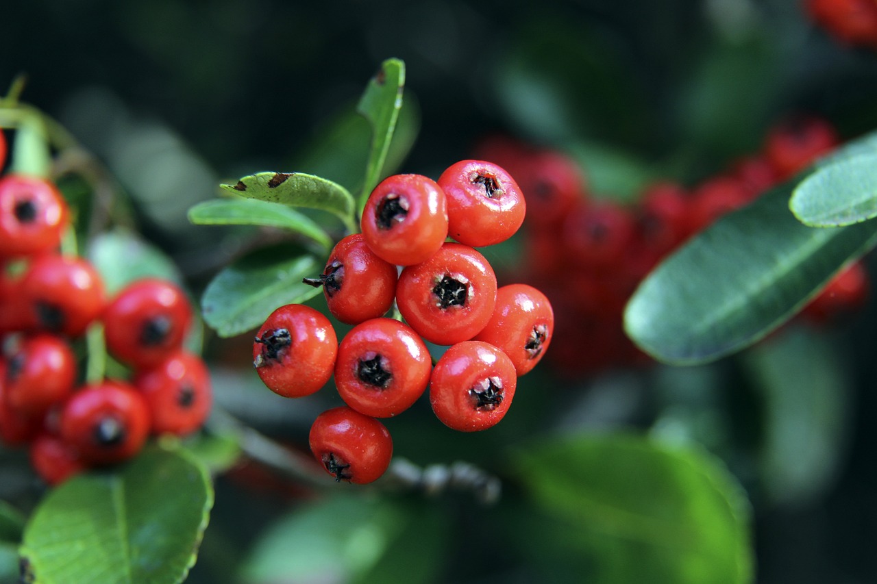 这不仅仅是 这不仅仅是