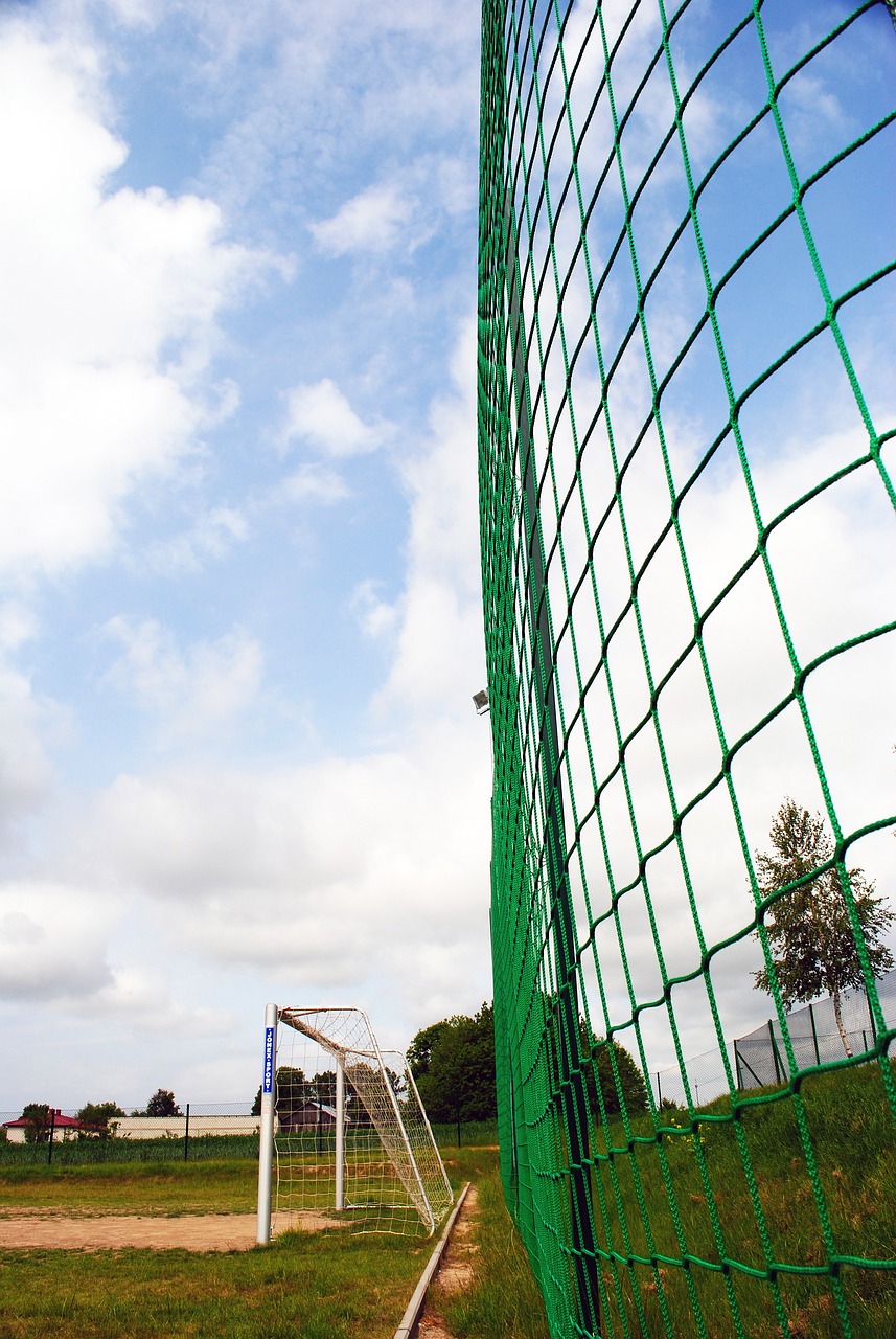 系如同催化 系如同催化