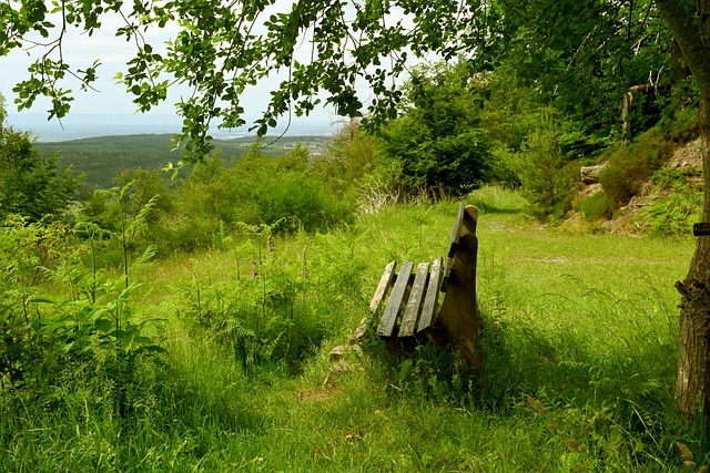 林多下半季急起直追 大谷翔平拚MVP添變數.