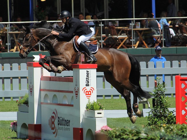 了比赛悬念 了比赛悬念