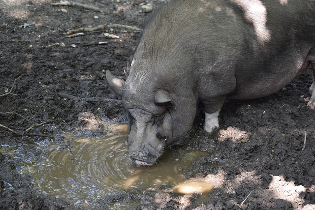 足球闻名于 足球闻名于